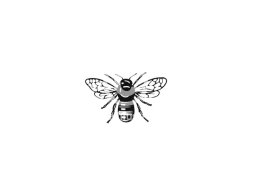 bee 4